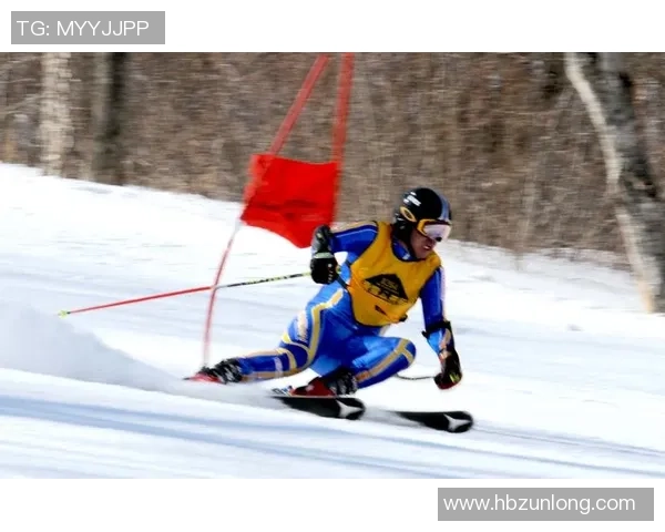 陈军深度解析羽毛球技巧与心得分享助你提升竞技水平